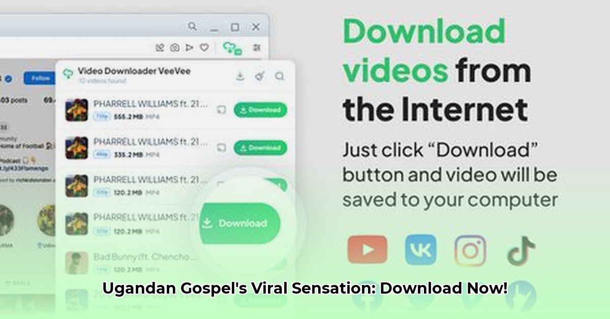 buli-vivi-mp3-download